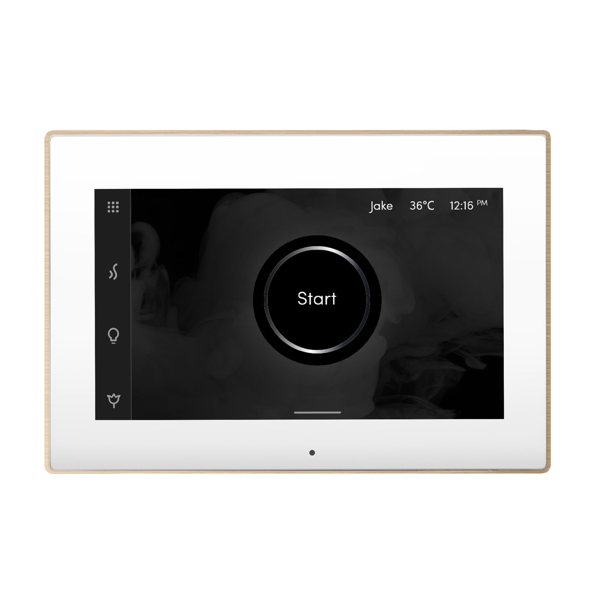 Mr Steam iSteamX Steam Shower Control and Steamhead