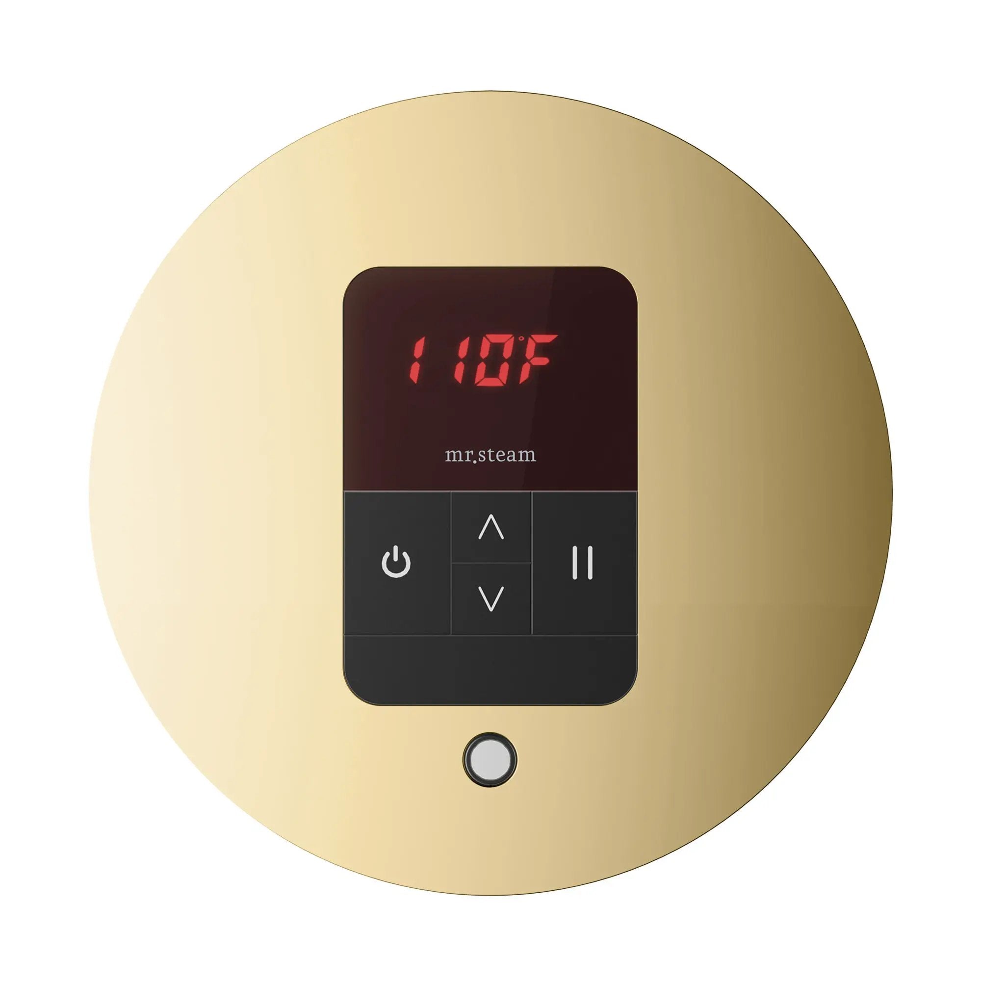Mr Steam iTempo Round Steam Shower Control and Steamhead by Mr Steam