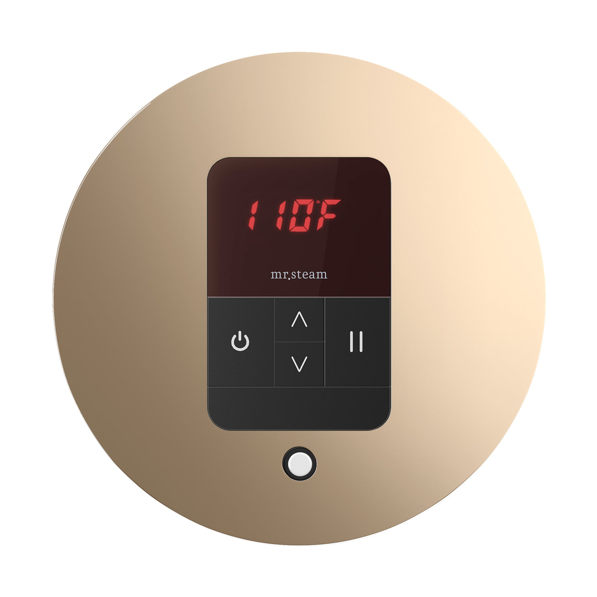 Mr Steam iTempo Round Steam Shower Control and Steamhead