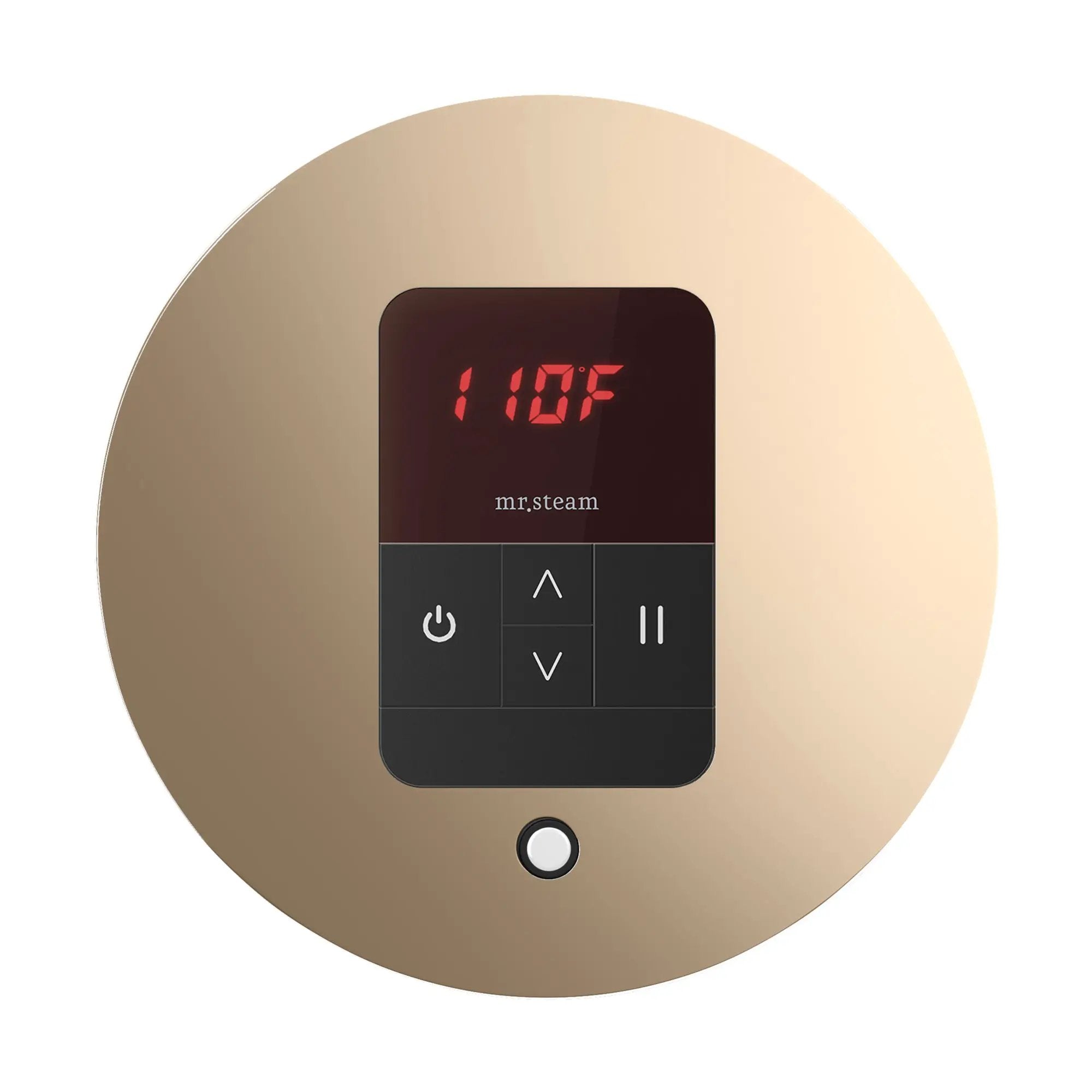Mr Steam iTempo Round Steam Shower Control and Steamhead by Mr Steam