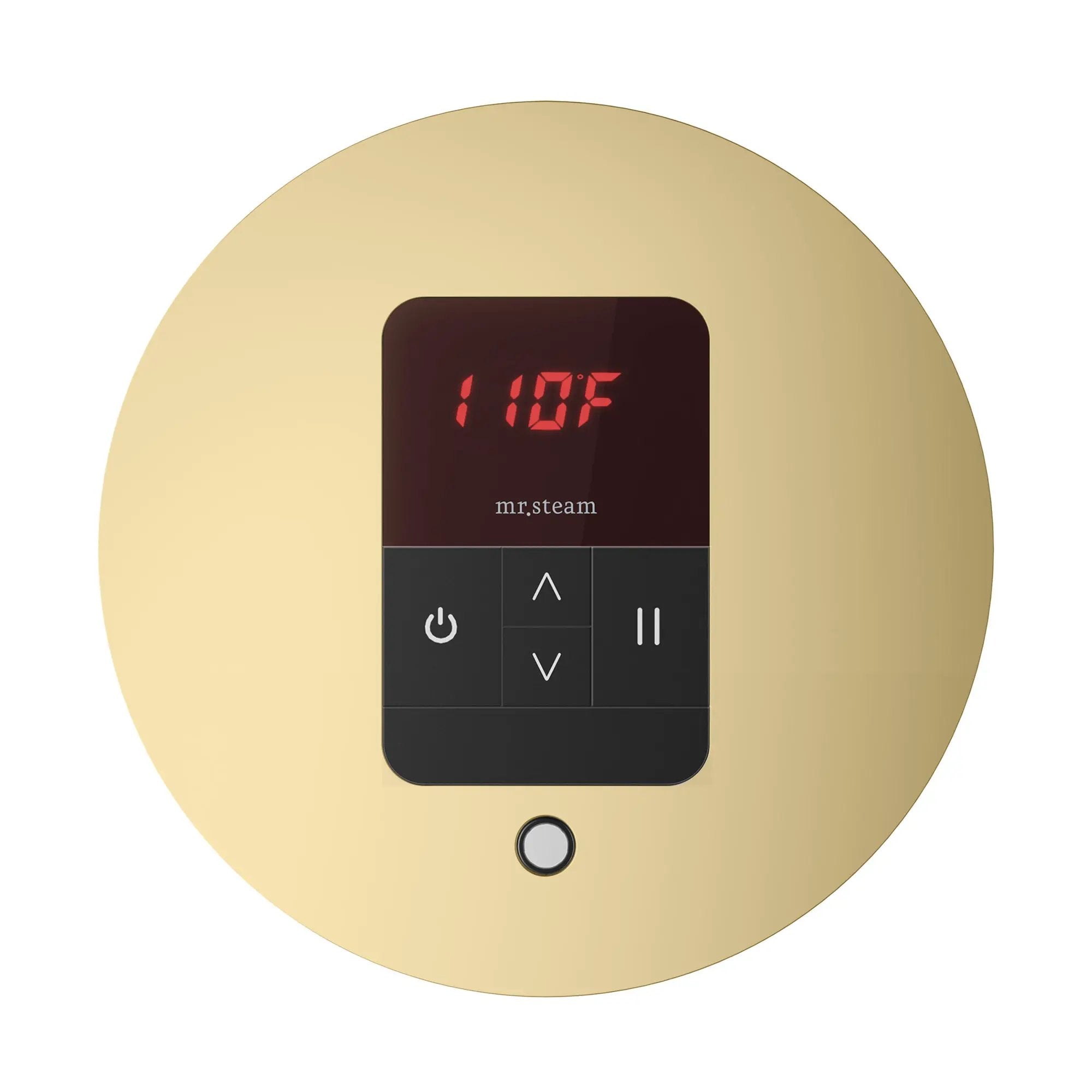 Mr Steam iTempo Round Steam Shower Control and Steamhead by Mr Steam