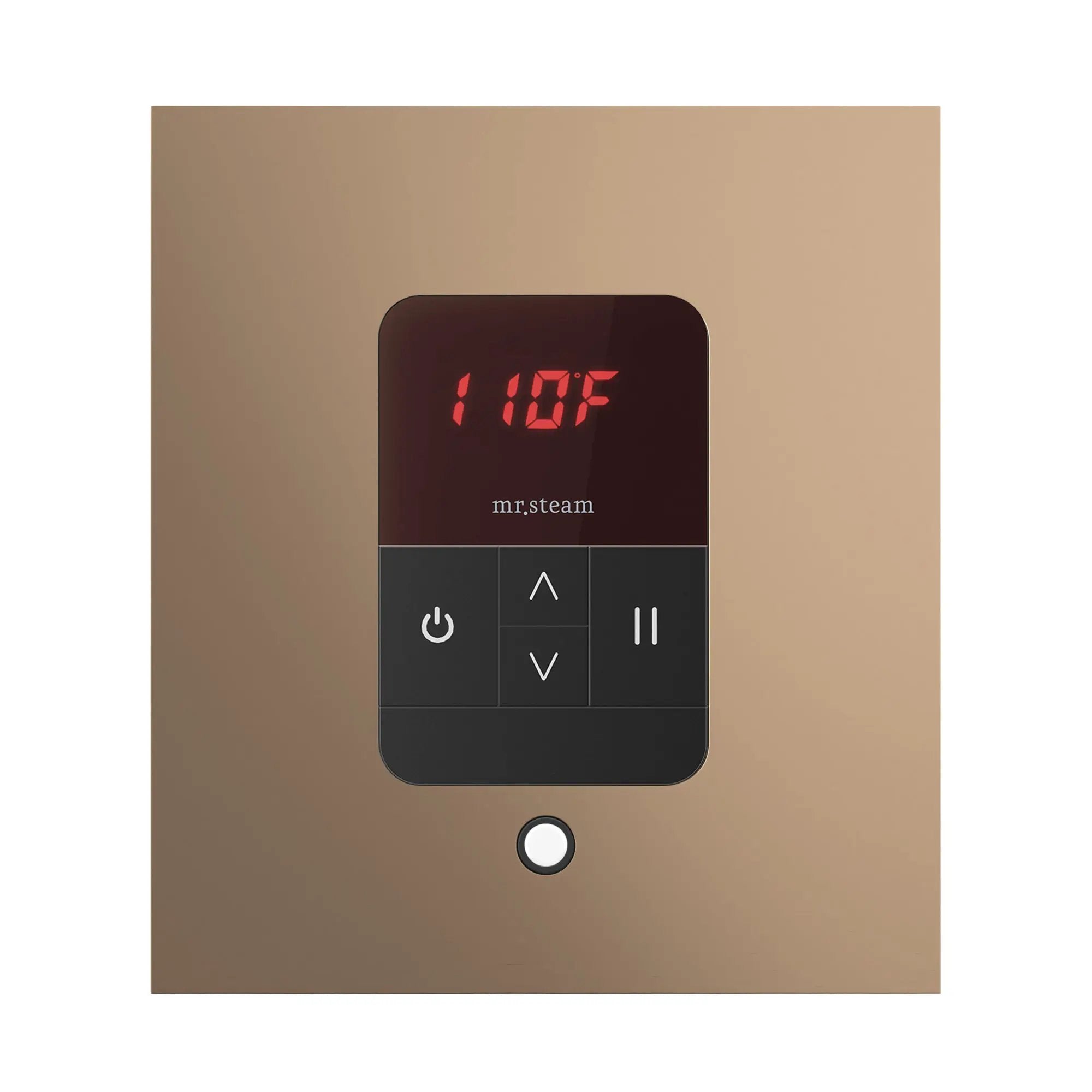 Mr Steam iTempo Square Steam Shower Control and Steamhead by Mr Steam