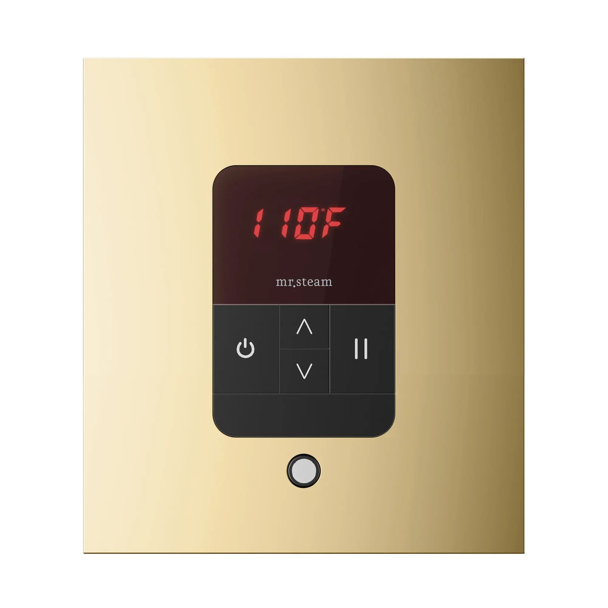 Mr Steam iTempo Square Steam Shower Control and Steamhead by Mr Steam