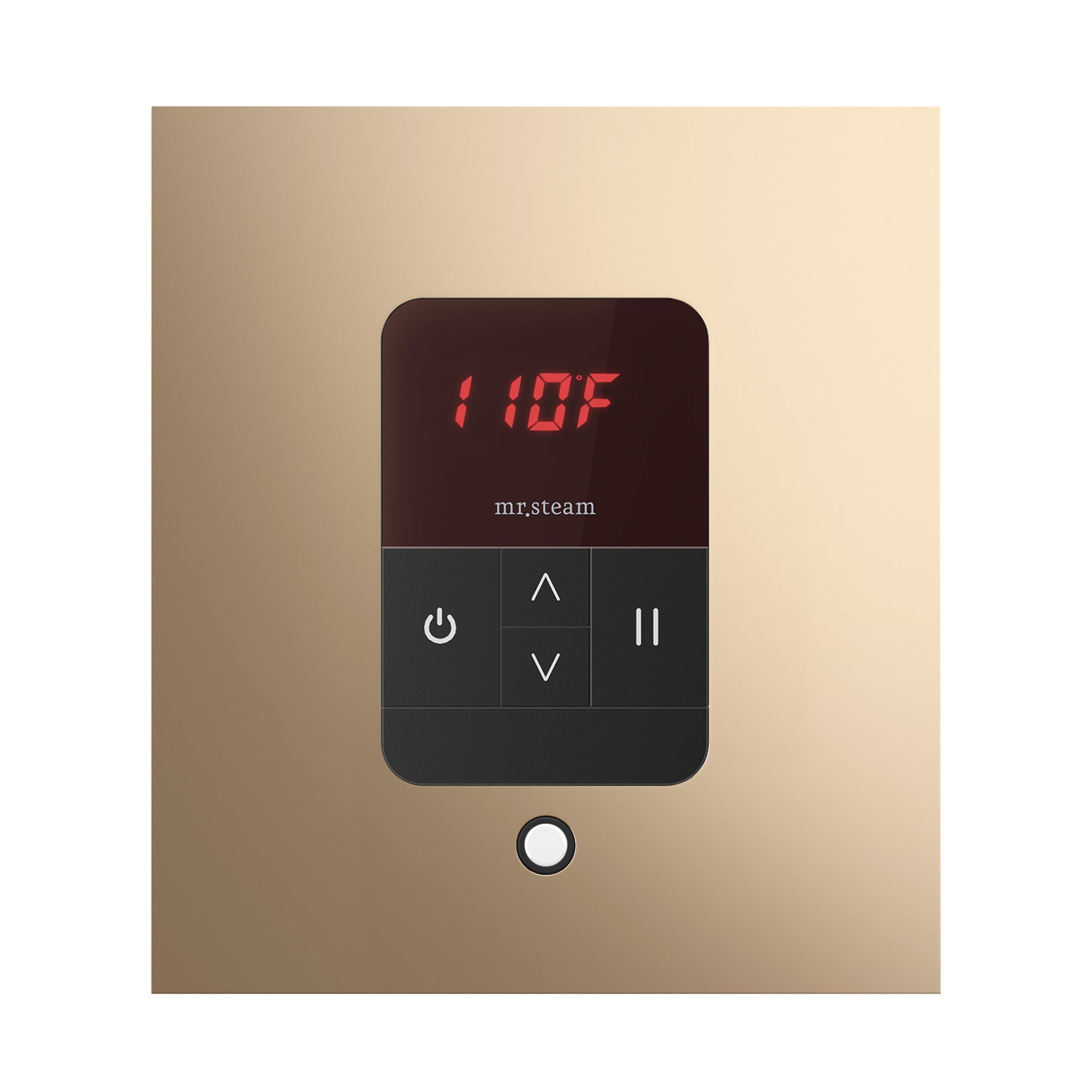 Mr Steam iTempo Square Steam Shower Control and Steamhead by Mr Steam