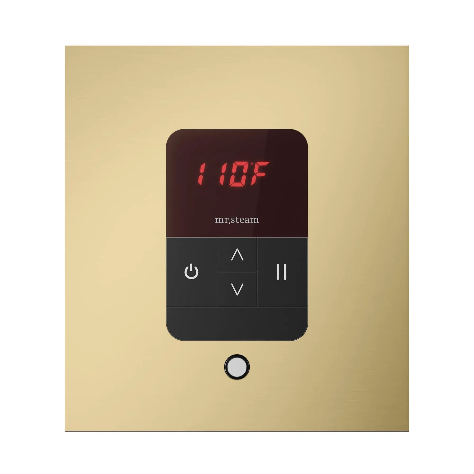Mr Steam iTempo Square Steam Shower Control and Steamhead by Mr Steam