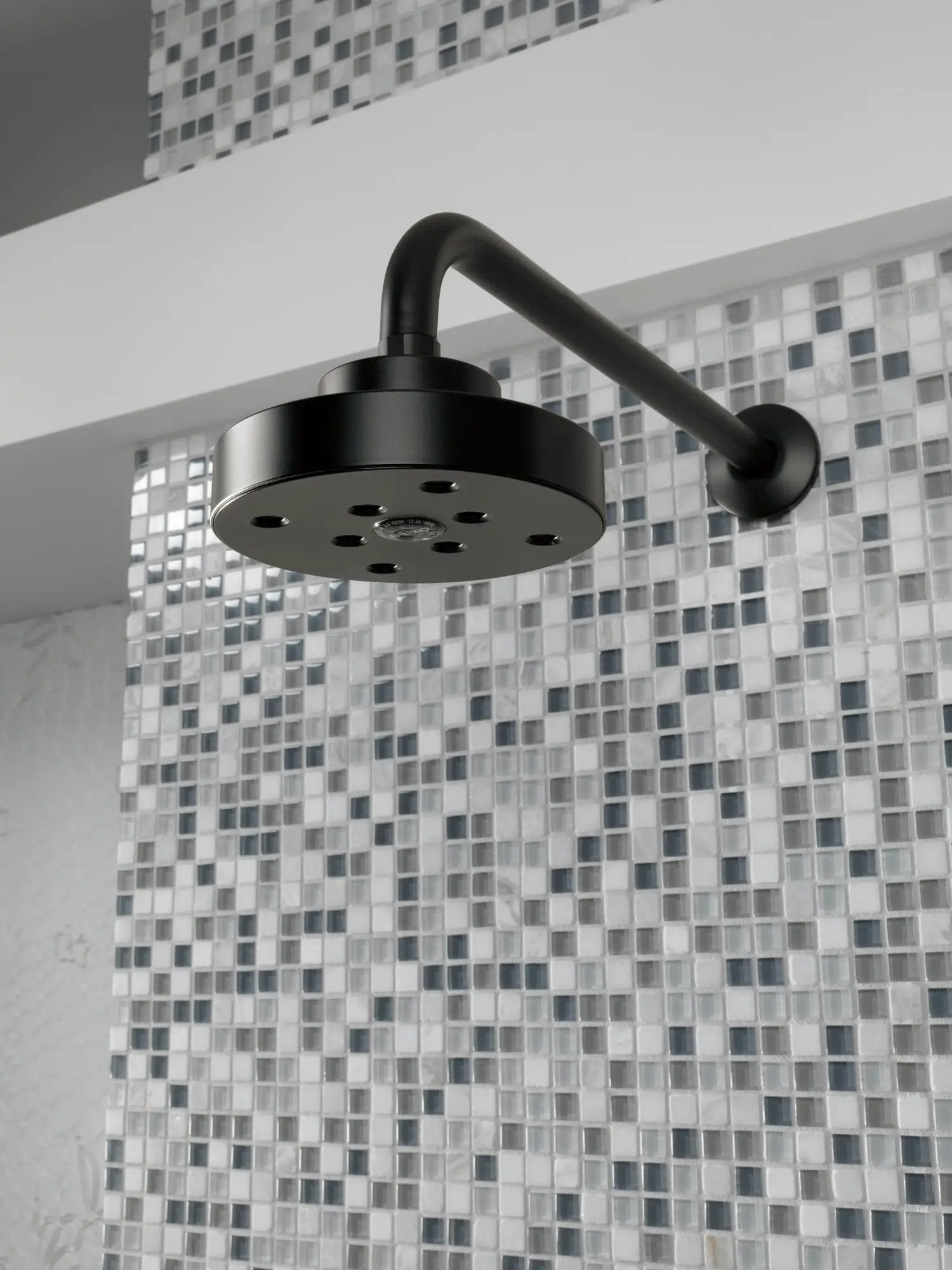 matte black showerhead
