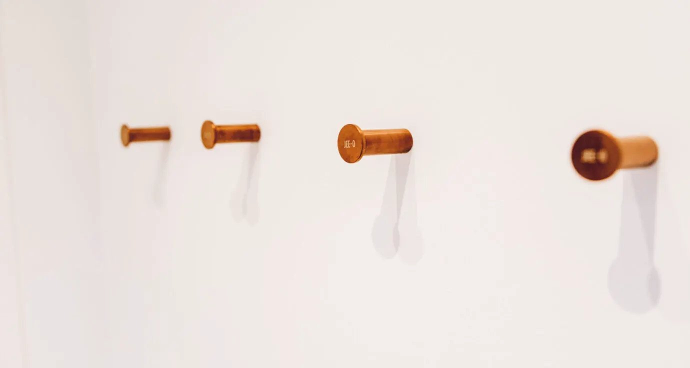 brushed robe hook