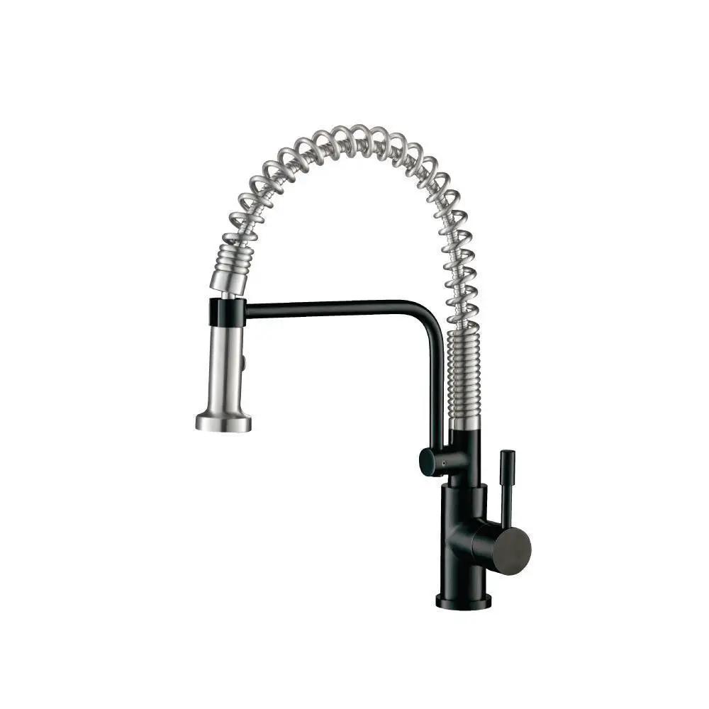matte black kitchen faucet