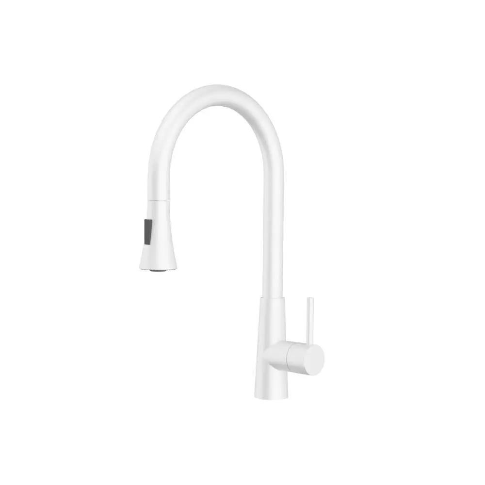 Flusso Zest - Dual Spray Stainless Steel Kitchen Faucet with Pull Out by Flusso