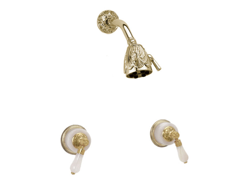 polished brass shower set