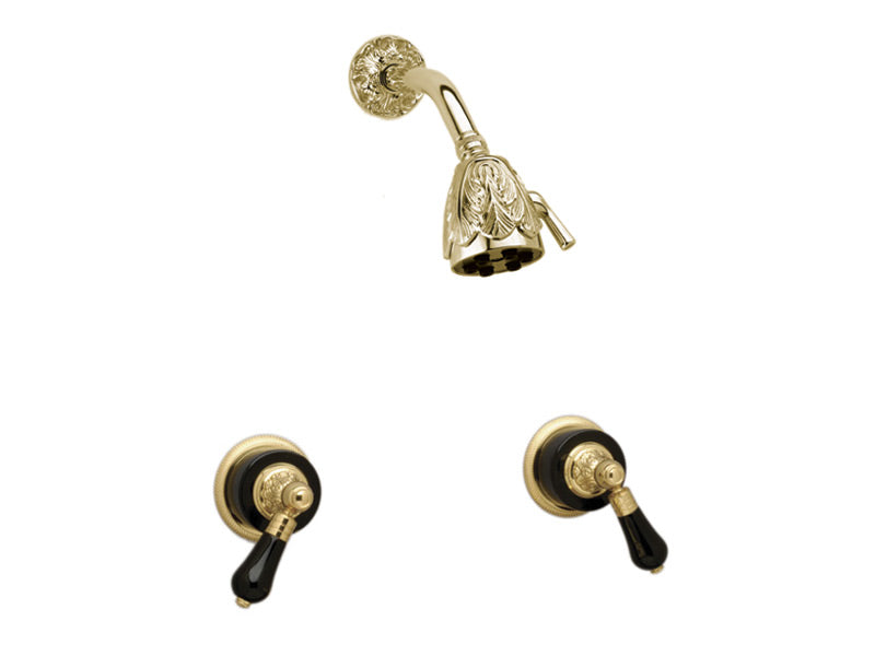 polished brass shower set