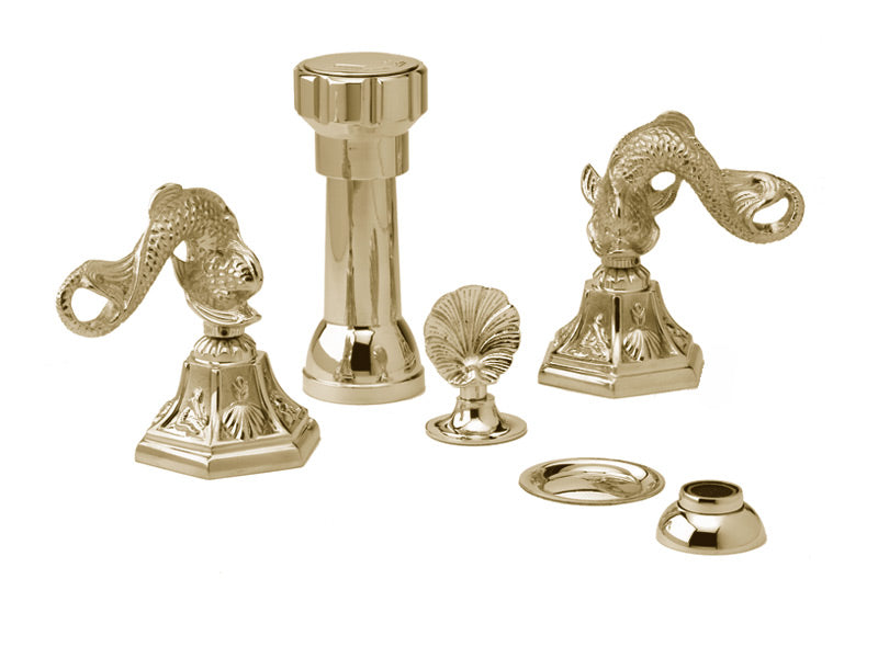 polished brass bidet set