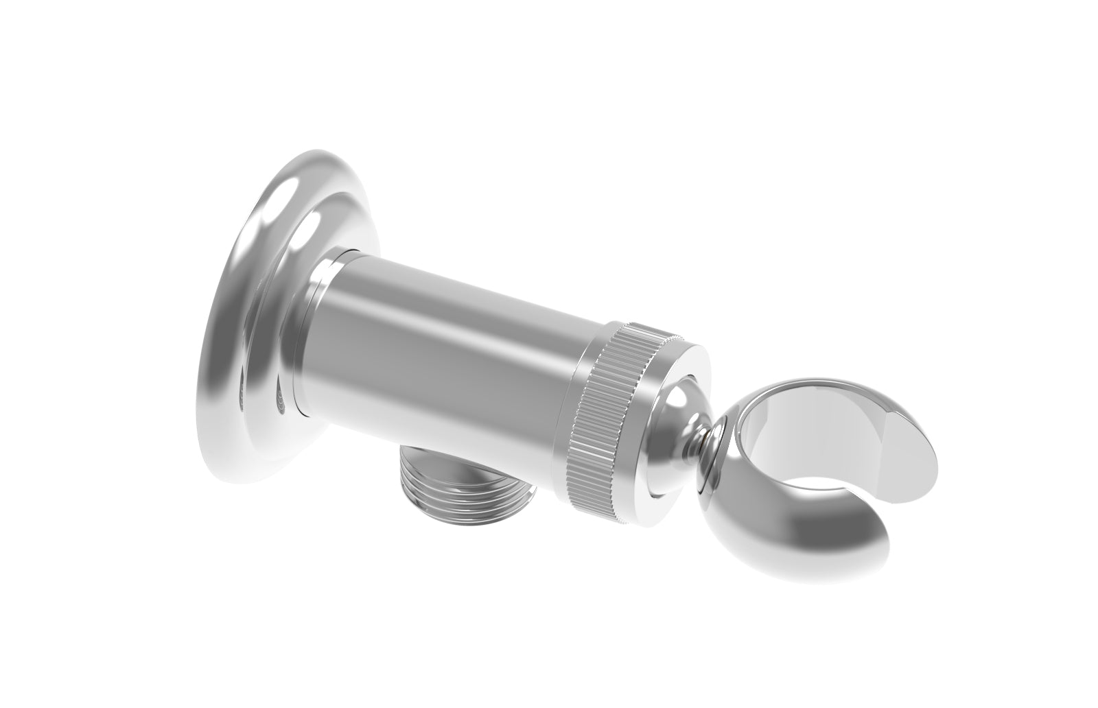 polished chrome hand shower