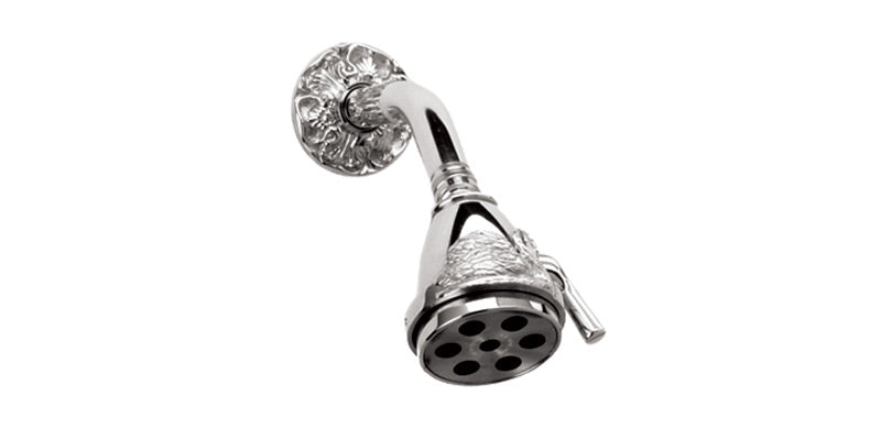 polished chrome shower head