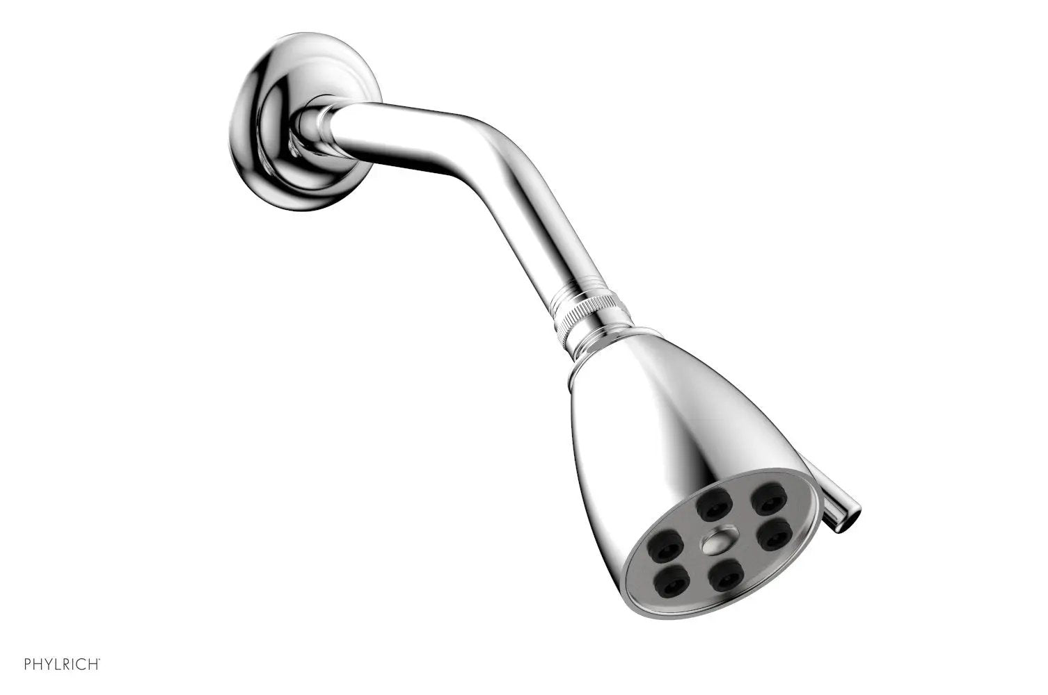 polished chrome shower head