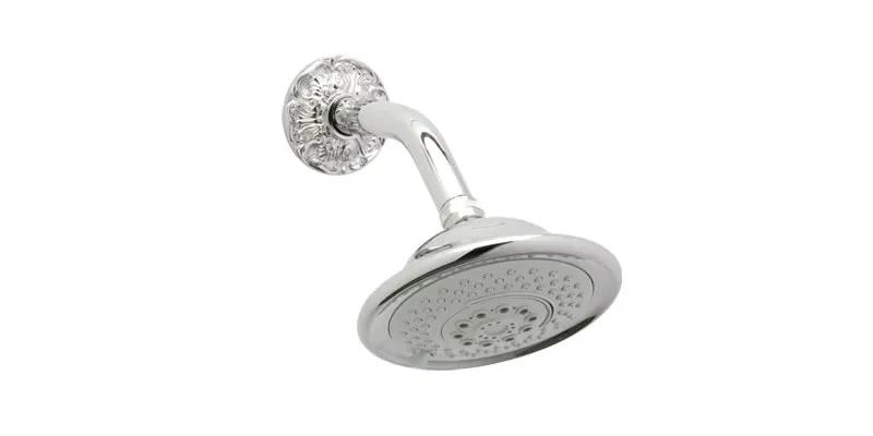 polished chrome shower head
