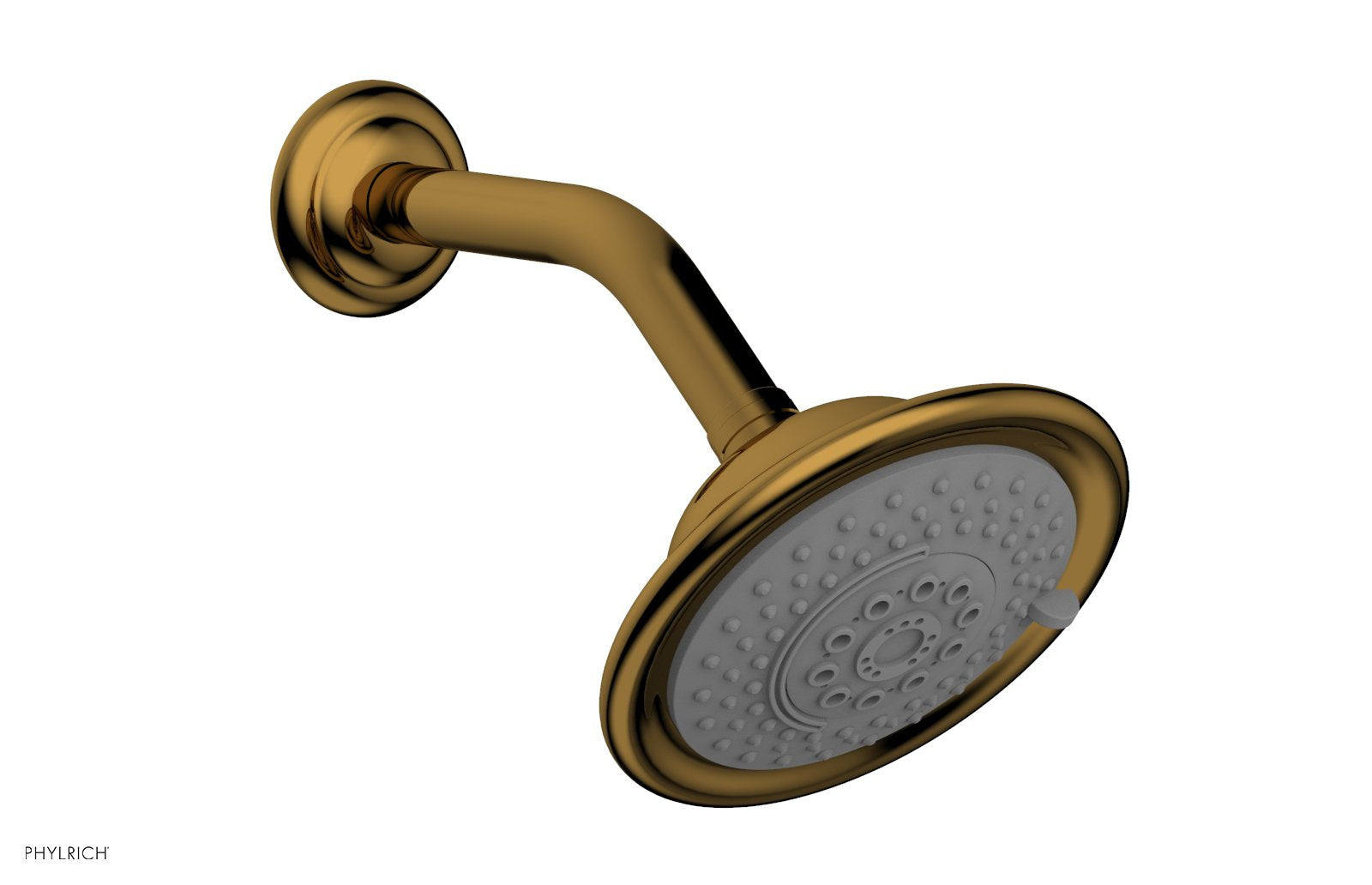 Phylrich Traditional Multi-Function Shower Head by Phylrich