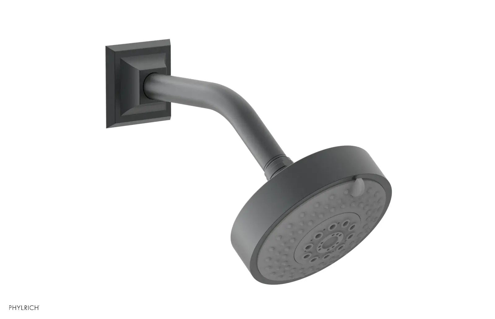 Phylrich Multifunction Shower Head by Phylrich