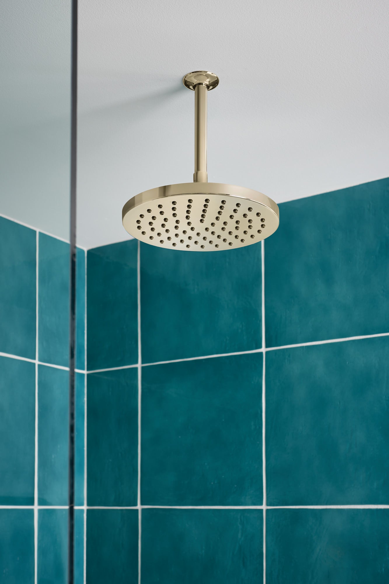 polished nickel shower arm and flange