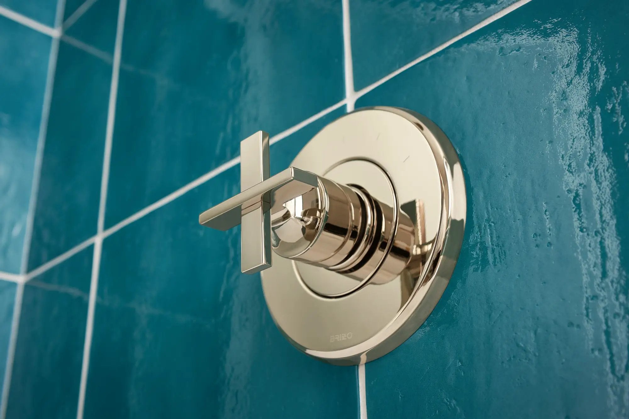 polished nickel handle kit