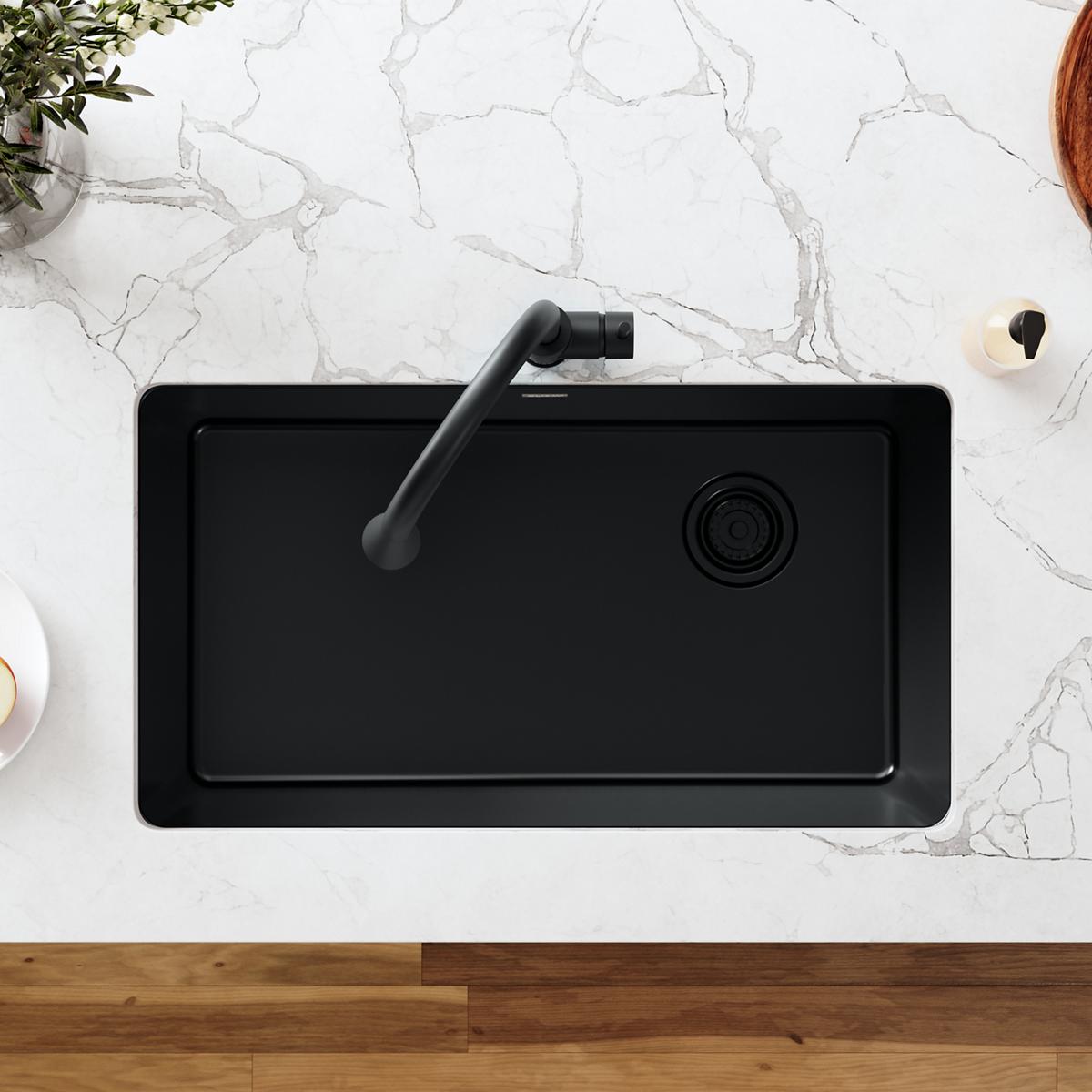 black disposer flange