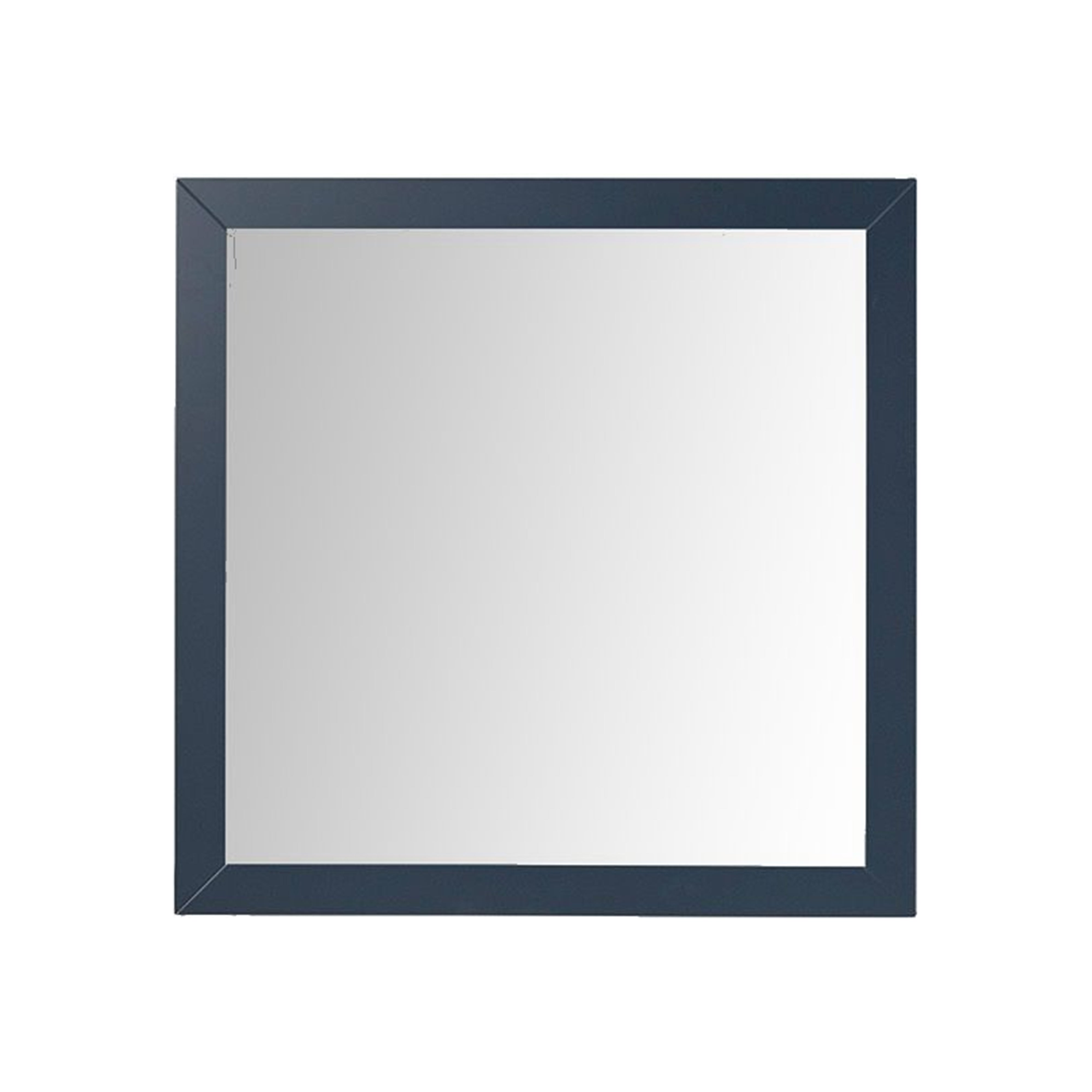 Lexora Castor 36 in W x 36 in H Mirror