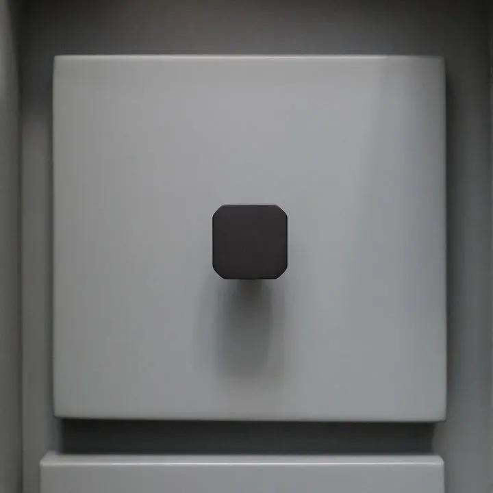 matte black,satin brass knob