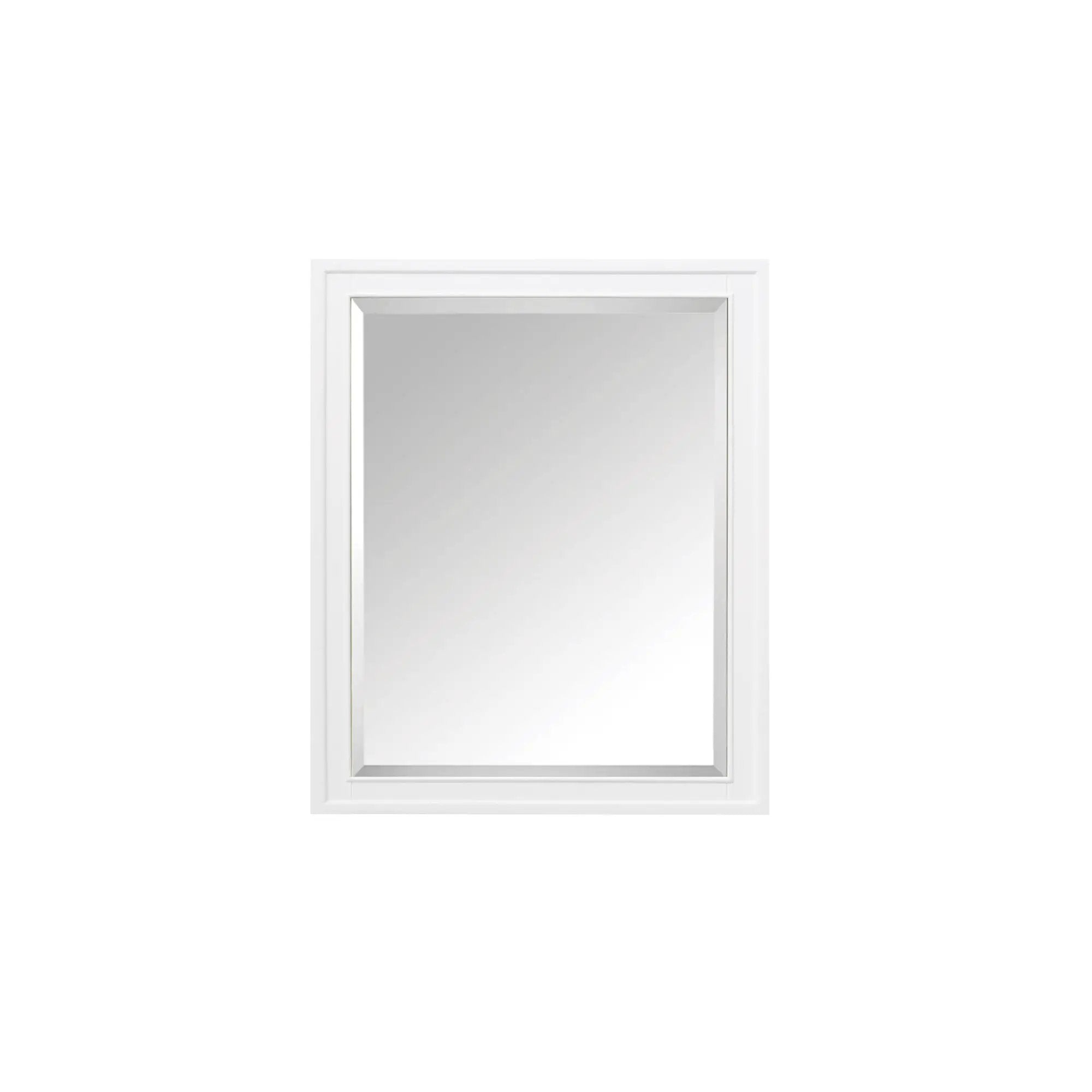 Avanity Madison 28 Inch Mirror Cabinet by Avanity