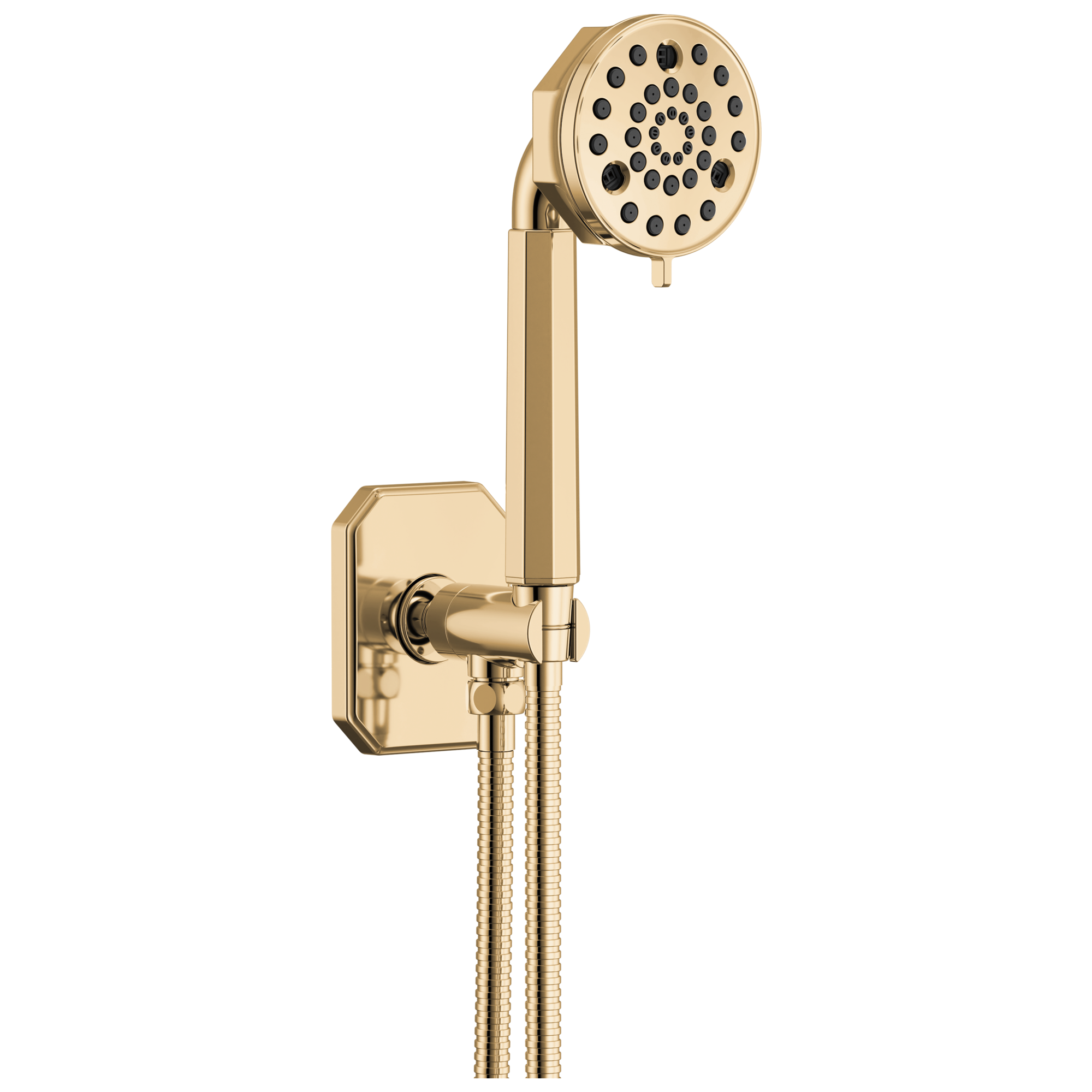 Brizo Beauclere Multi-Function Wall Mount Hand Shower by Brizo