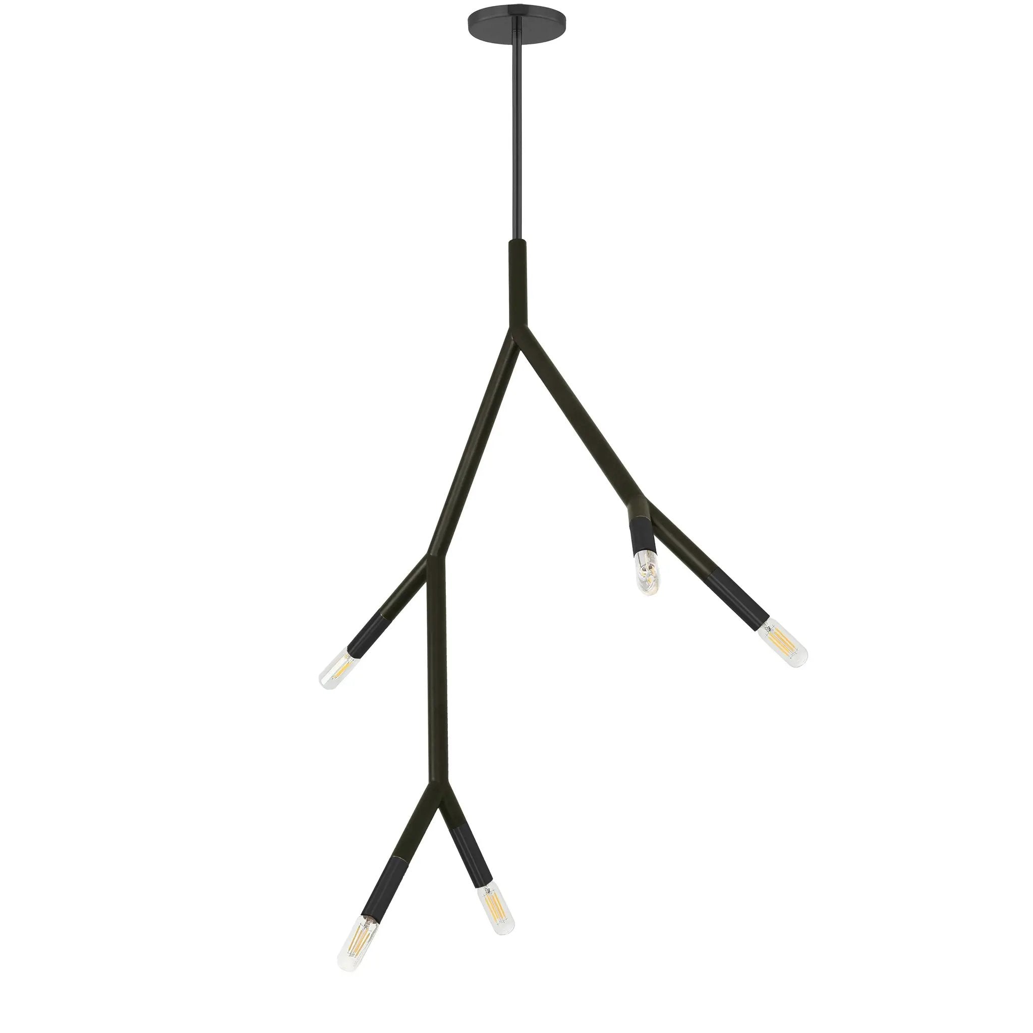 Dainolite 5 Light Incandescent Pendant by Dainolite