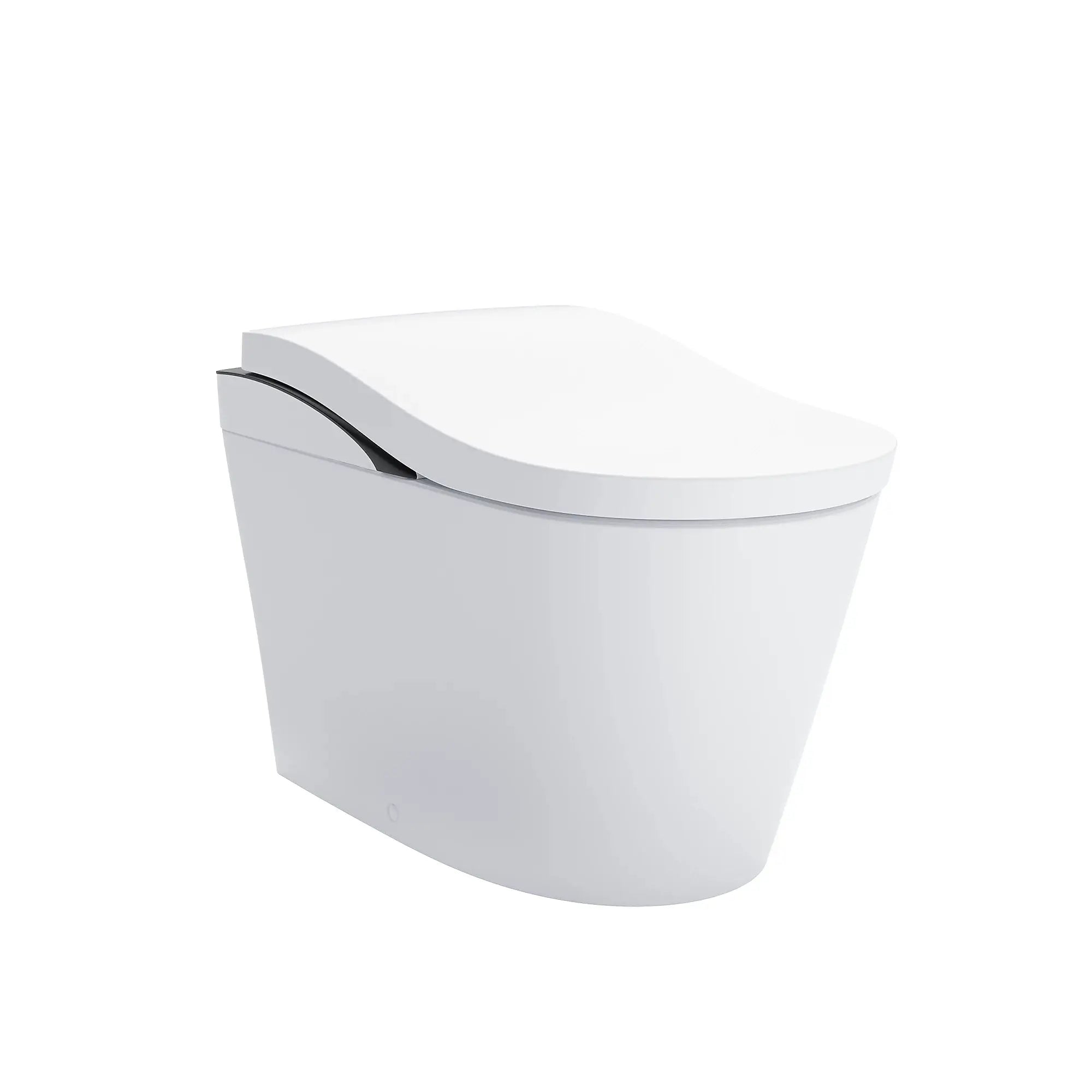 black trim toilet