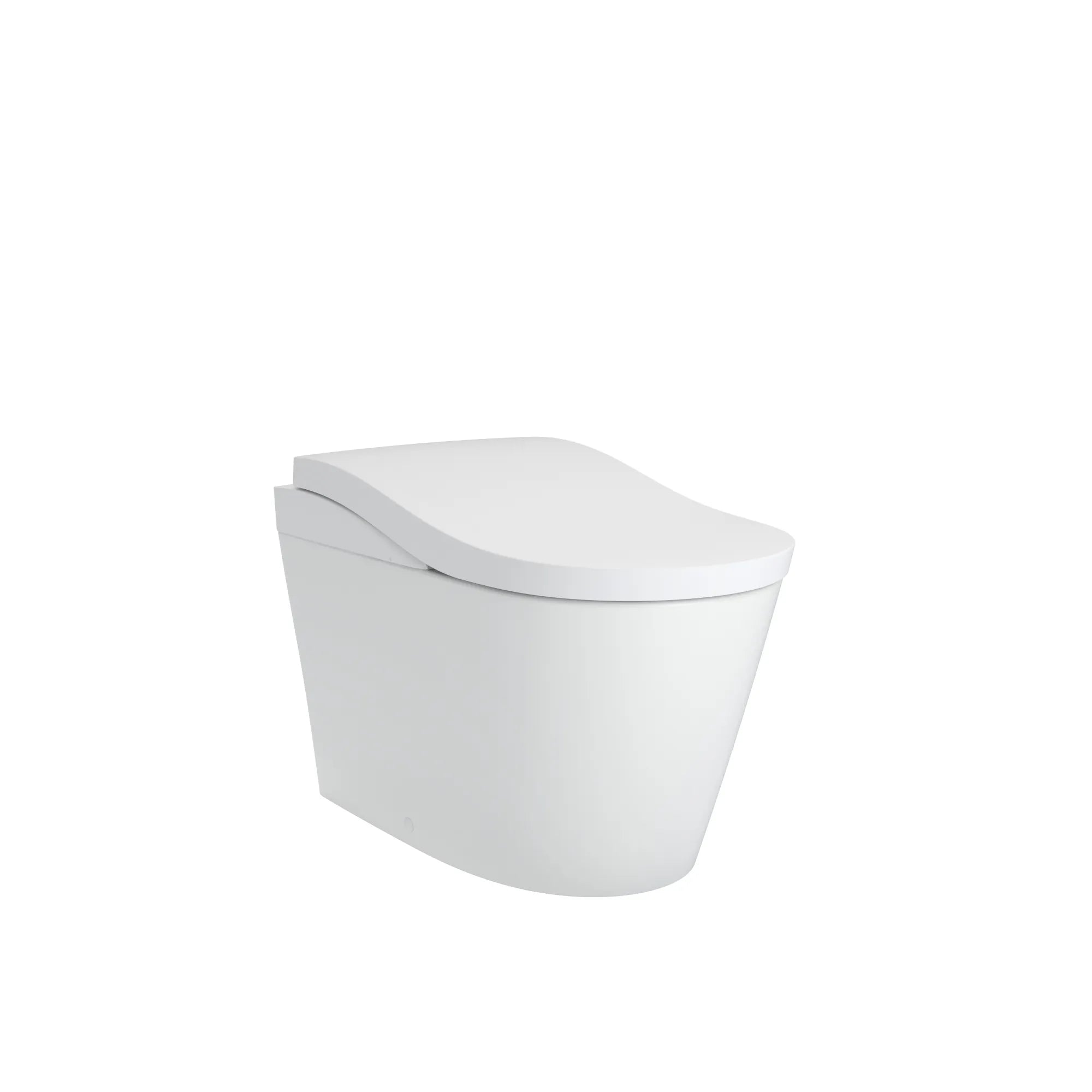 matte white toilet