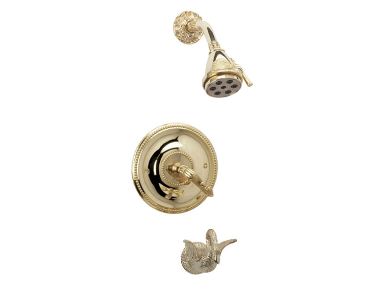 polished brass shower set