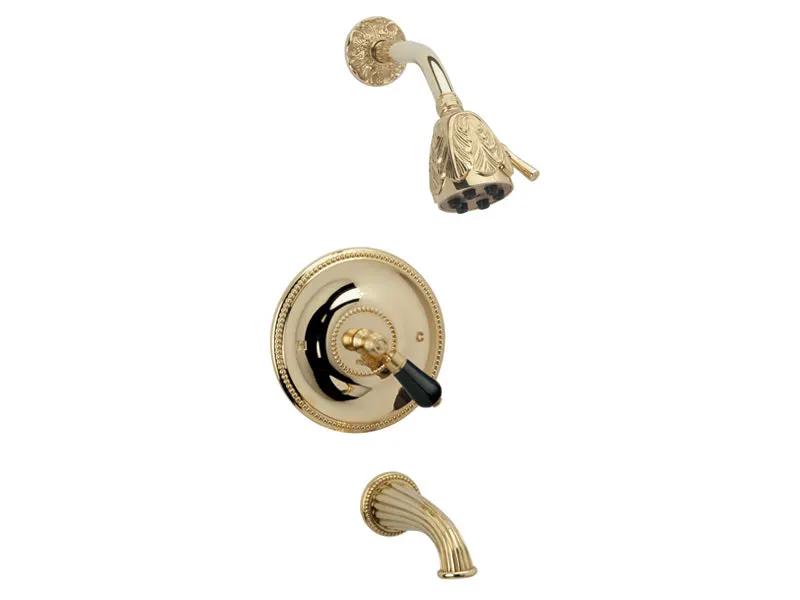 polished brass shower set