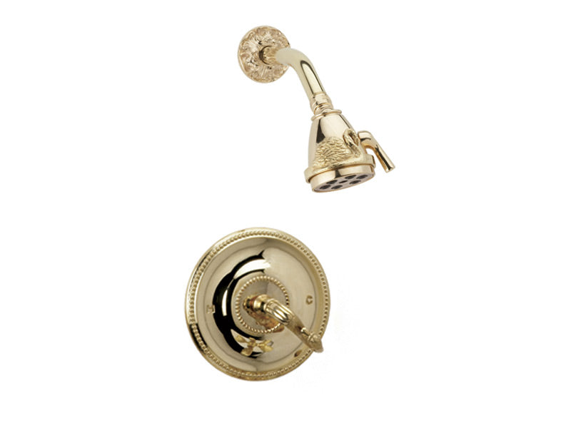 polished brass shower set