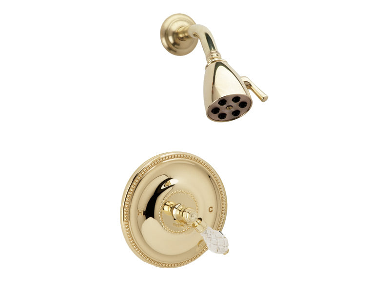 polished brass shower set