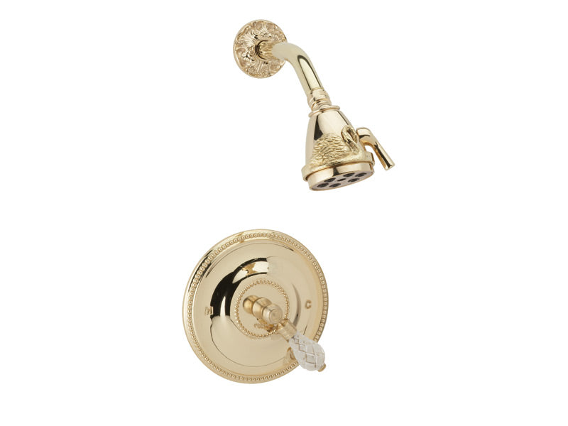 polished brass shower set