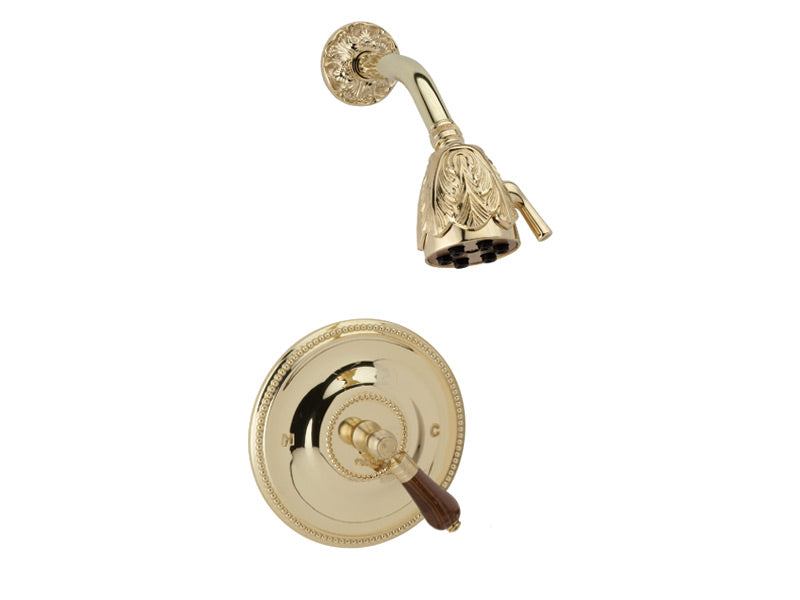 polished brass shower set