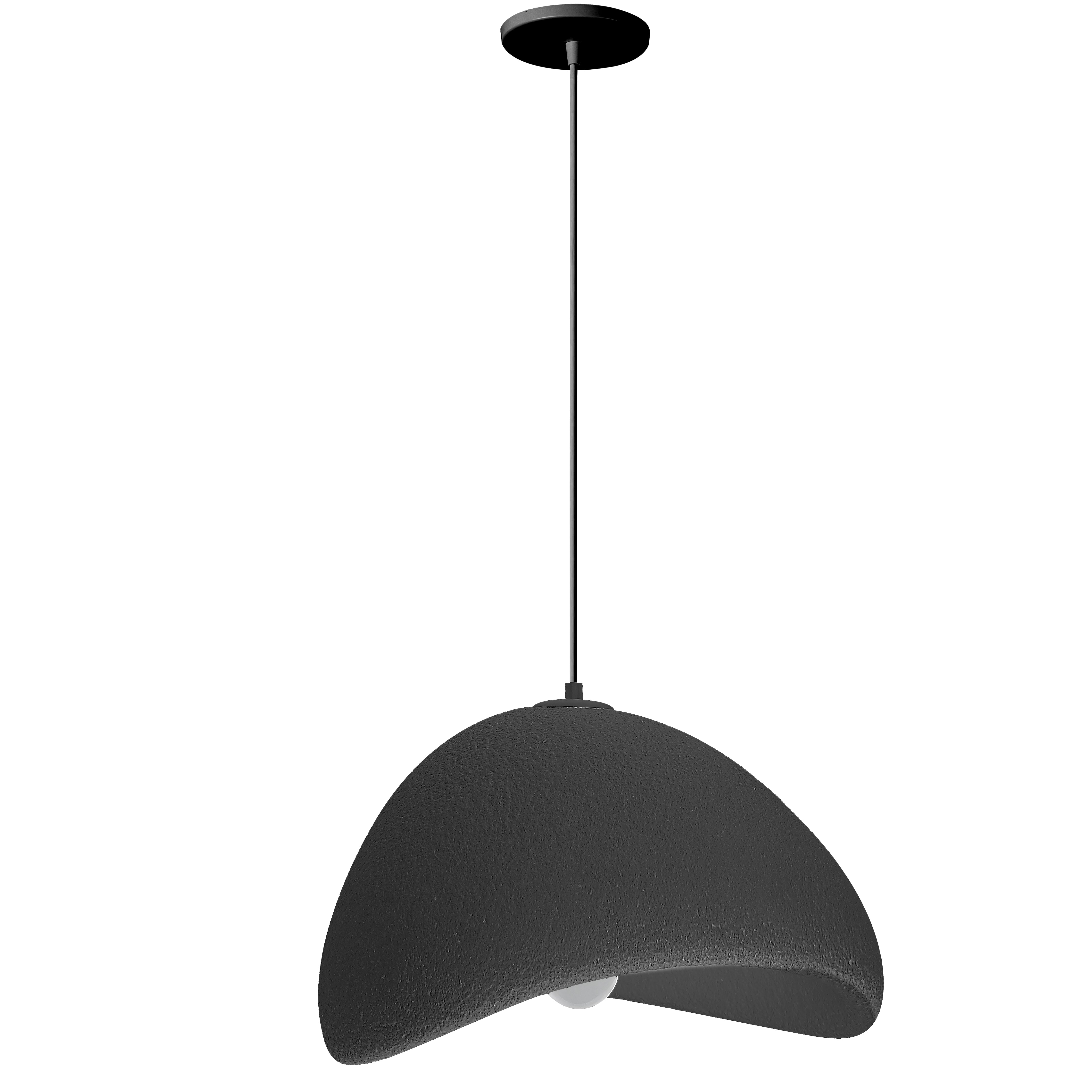 matte black pendant light