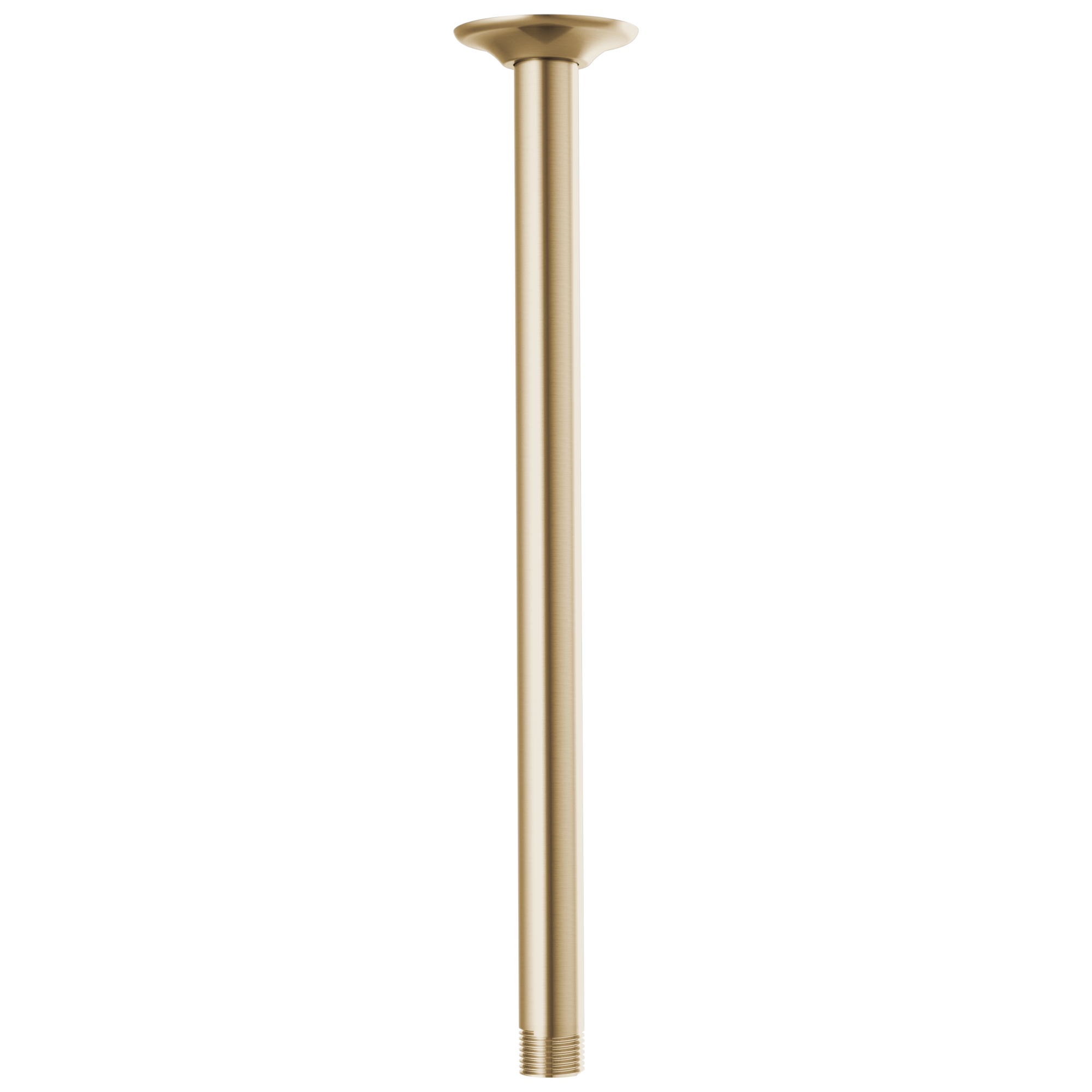 Brizo Universal Showering 14" Ceiling Mount Shower Arm And Round Flange by Brizo