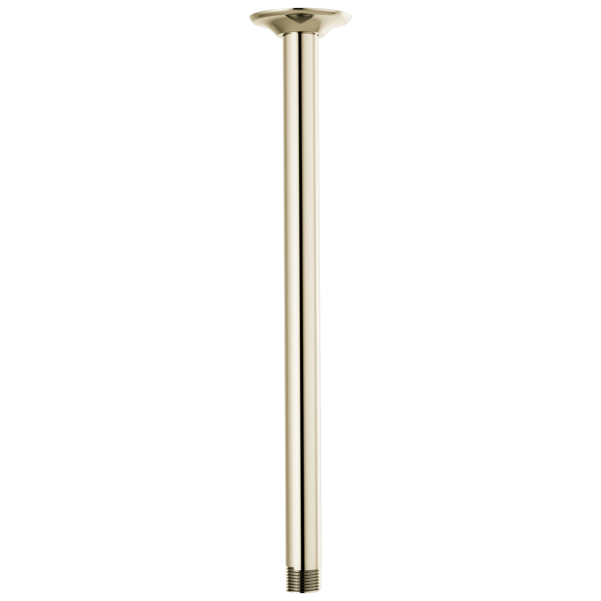 Brizo Universal Showering 14" Ceiling Mount Shower Arm And Round Flange by Brizo