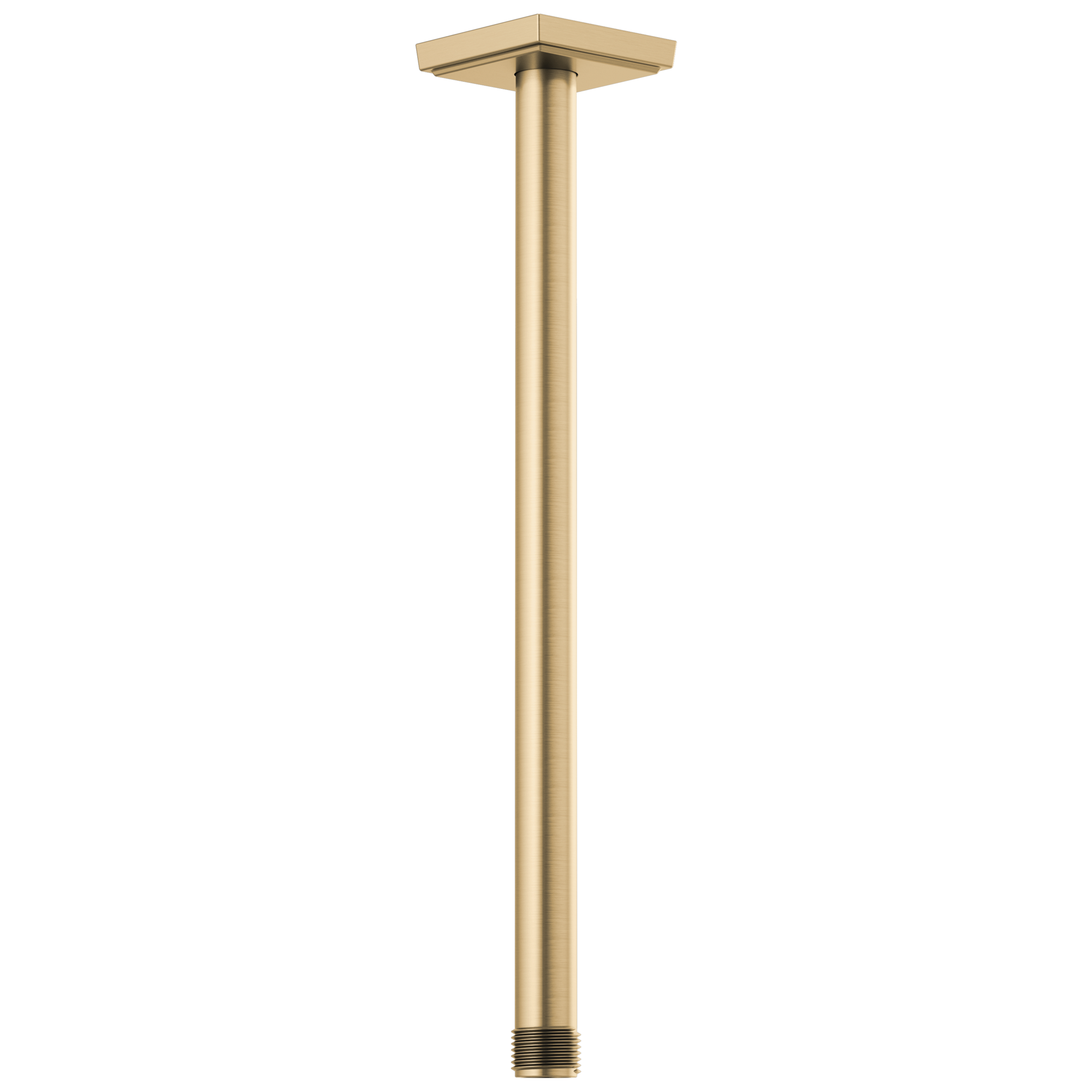 luxe gold shower arm and flange