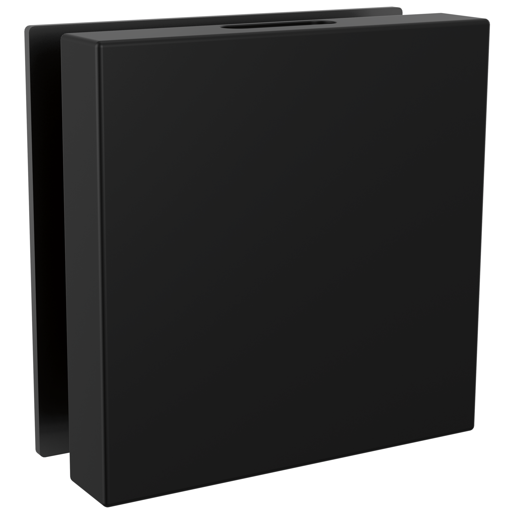 Brizo Mystix Square Steam Head by Brizo