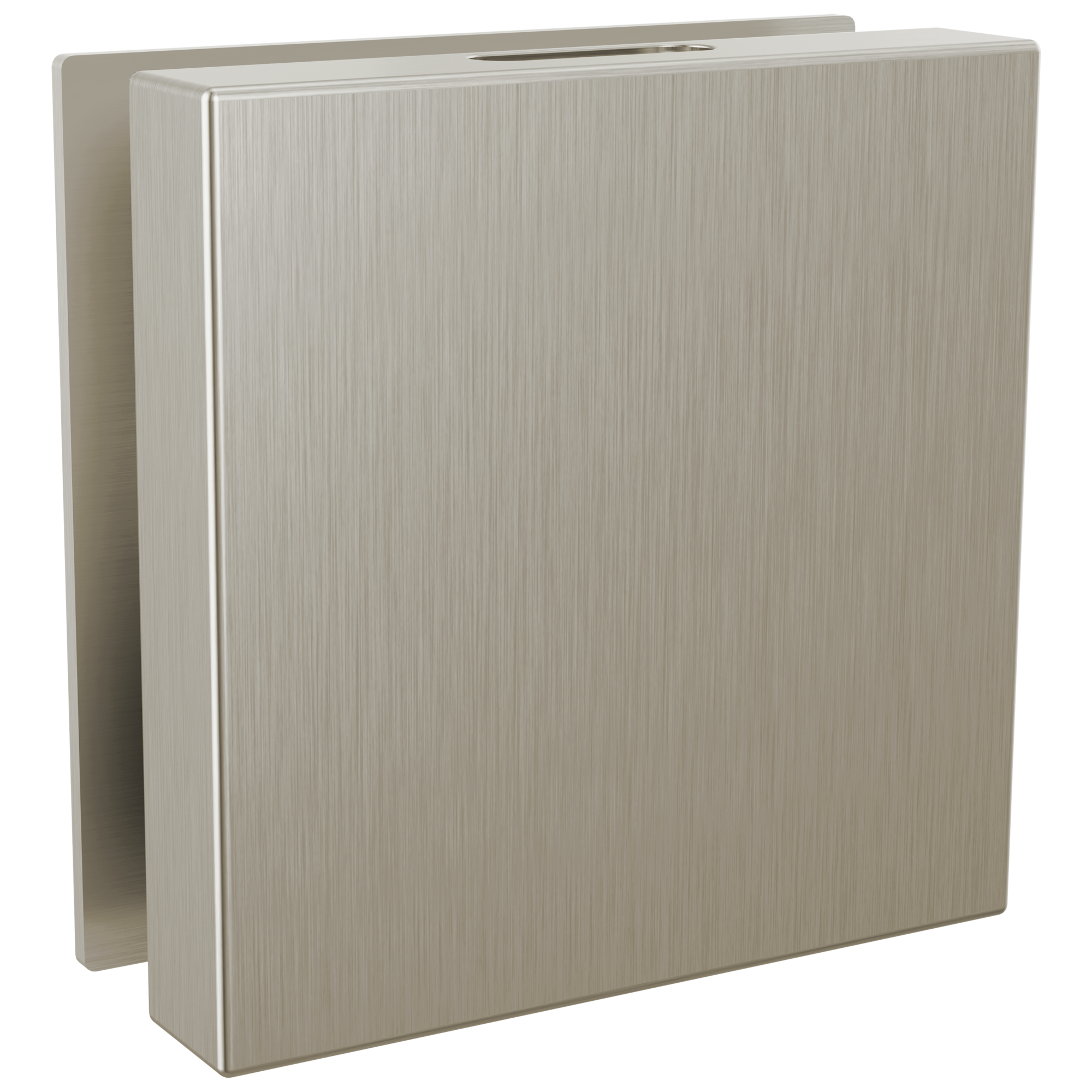 Brizo Mystix Square Steam Head