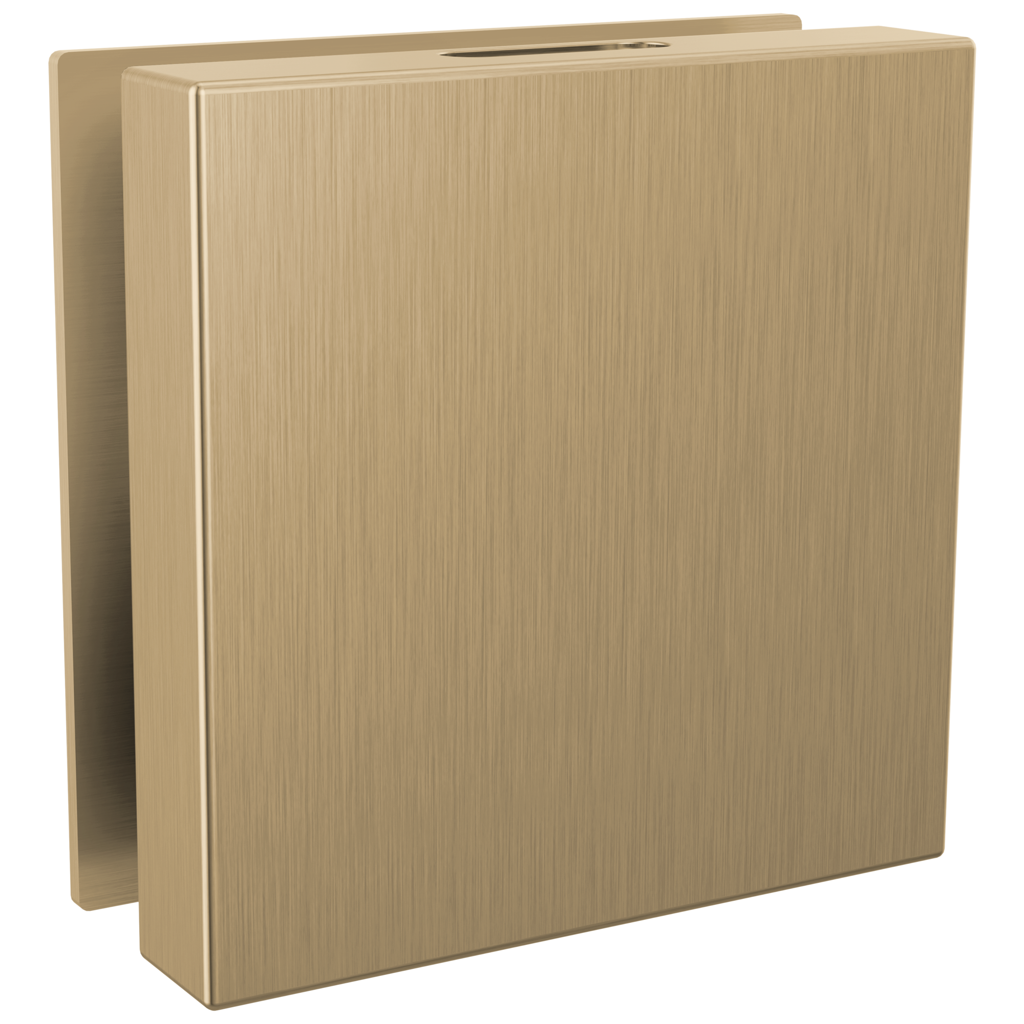 Brizo Mystix Square Steam Head