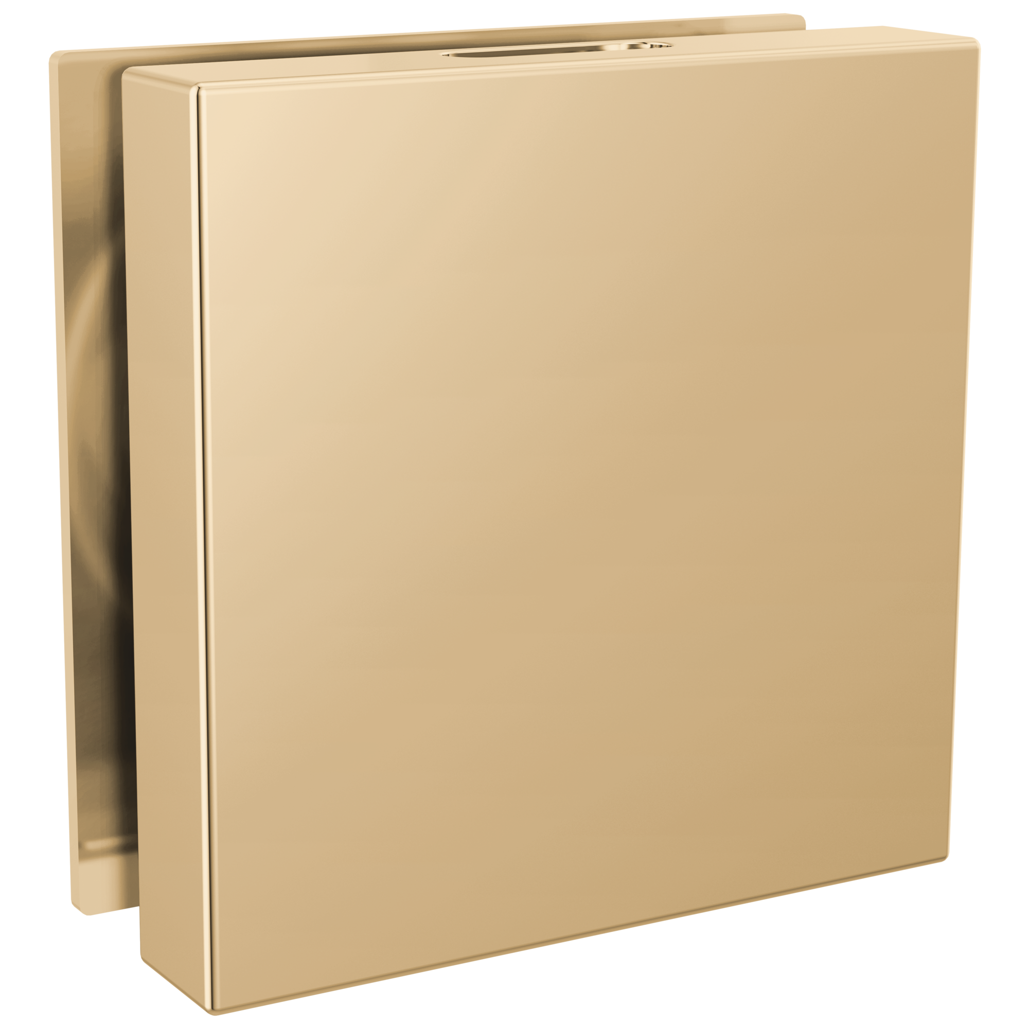 Brizo Mystix Square Steam Head by Brizo