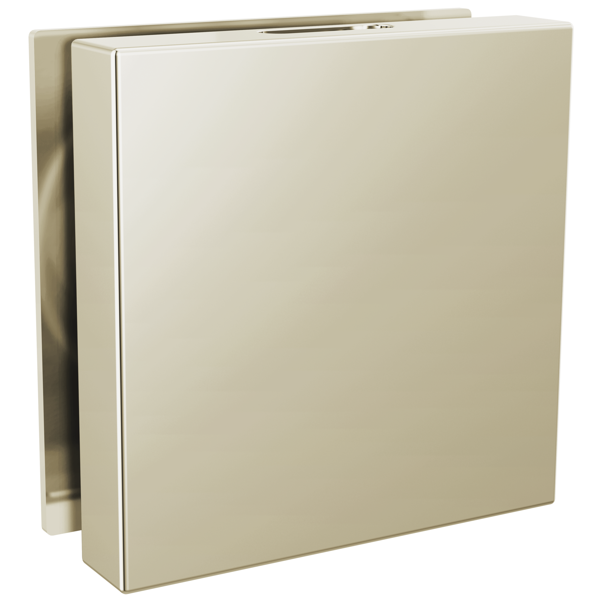 Brizo Mystix Square Steam Head