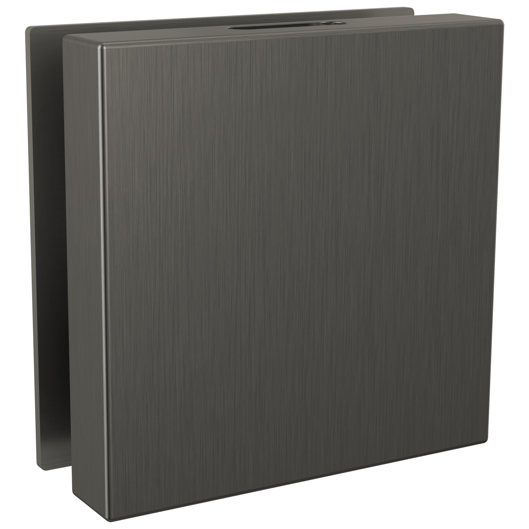 Brizo Mystix Square Steam Head