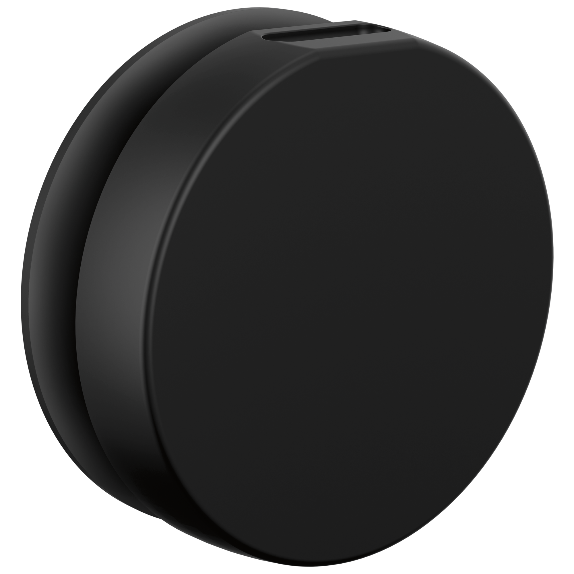 Brizo Mystix Round Steam Head by Brizo