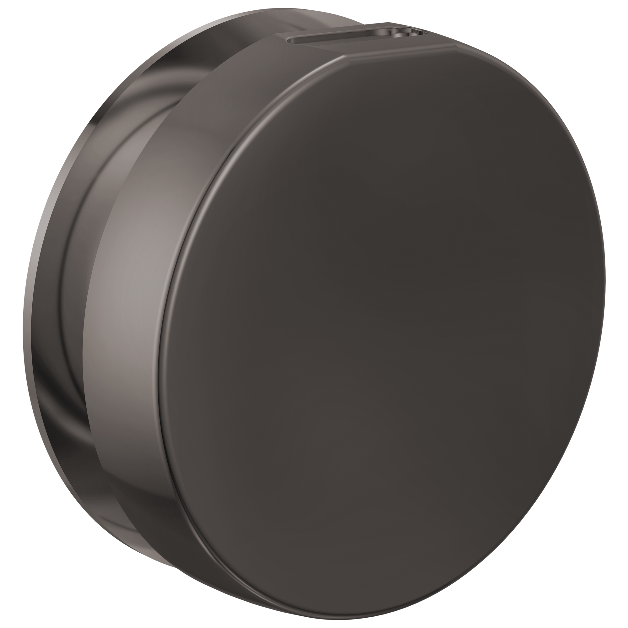 Brizo Mystix Round Steam Head